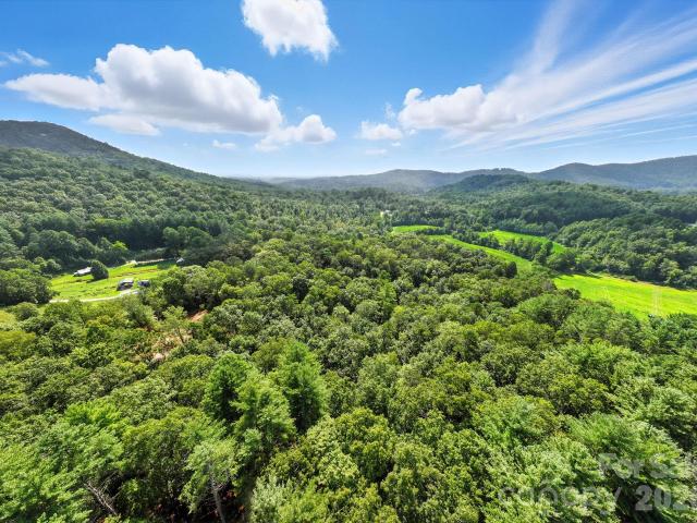Land for sale in Horse Shoe, North Carolina