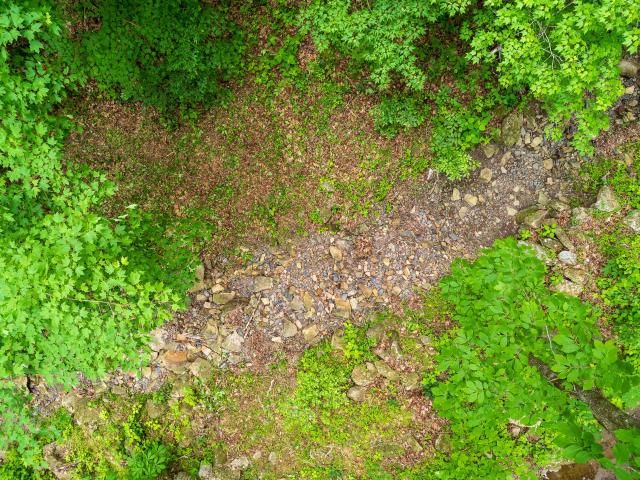 Land for sale in Trenton, Dade County