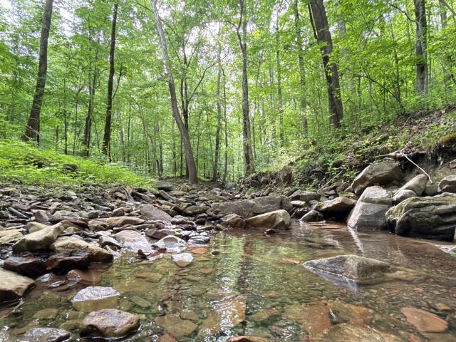 Land for sale in Trenton, Georgia