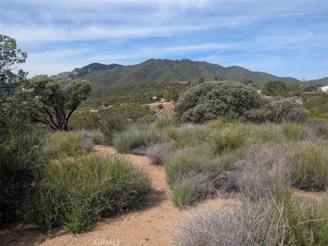 Land for sale in Anza, California