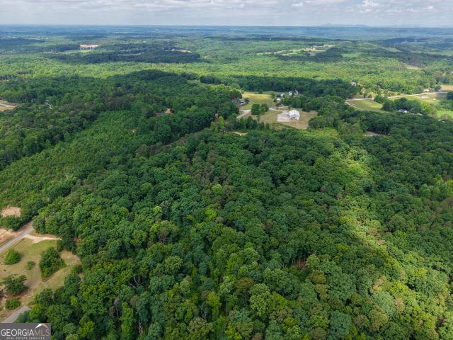 Land for sale in Banks, Georgia