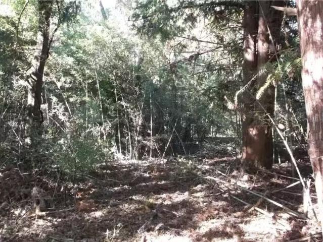 House for rent in Alabama