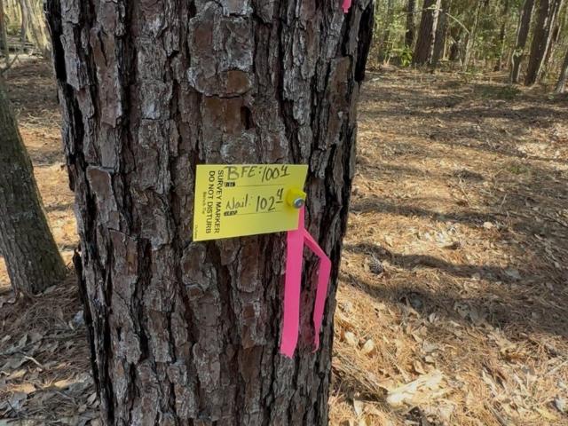 Land for sale in Shepherd, San Jacinto County