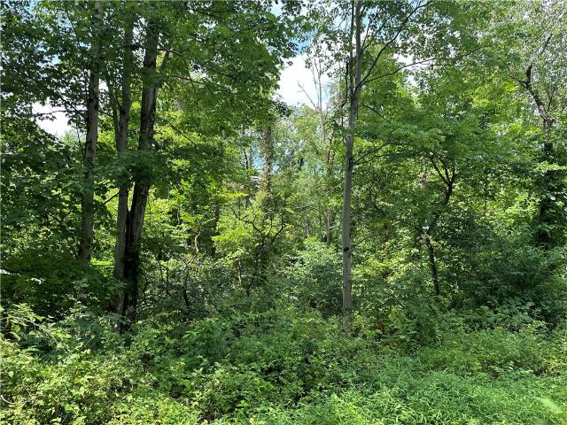 Farm for sale in Lake Lynn, Pennsylvania