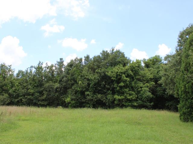 Land for sale in Tennessee