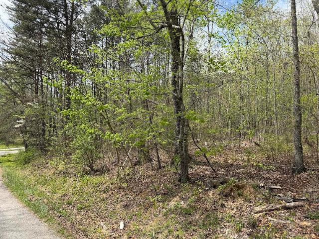 Land for sale in Tennessee