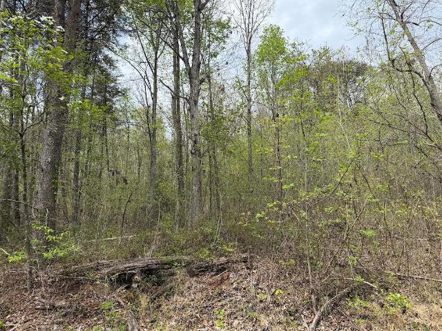 Land for sale in Tennessee