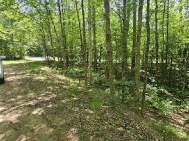 Land for sale in New Hampshire