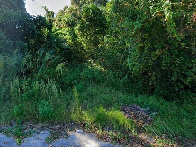 Land for sale in Palatka, Florida