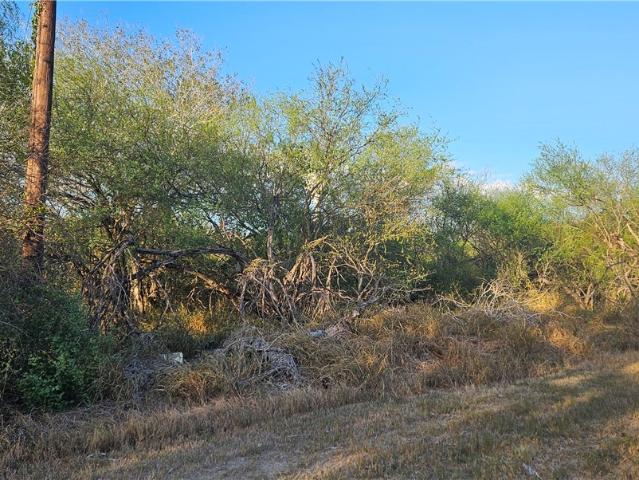 Land for sale in Ben Bolt, Texas