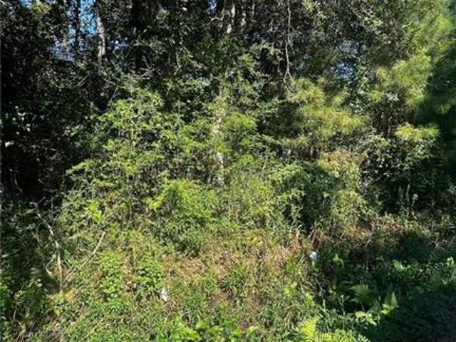 Land for sale in Lacombe, Louisiana