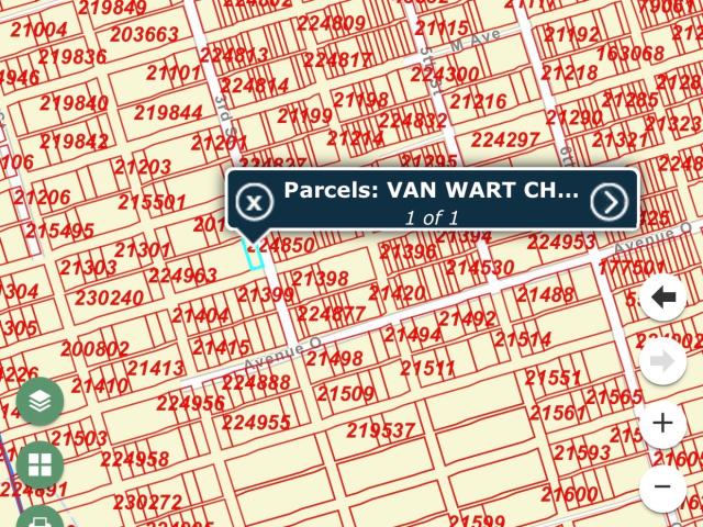 Land for sale in Christine, Texas