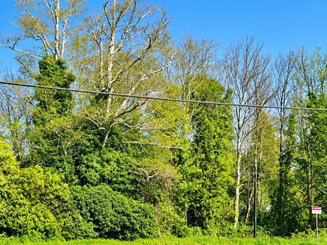 Land for sale in North Aberdeen, Aberdeen