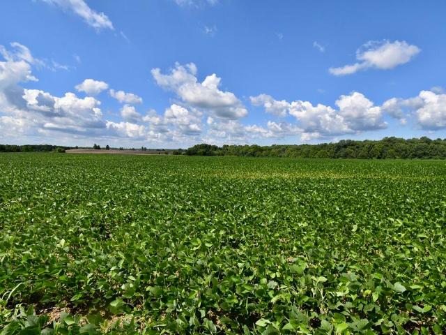 Land for sale in Crofton, Kentucky