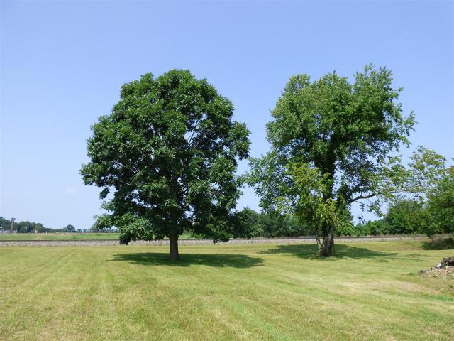 Land for sale in Hartford, Van Buren County