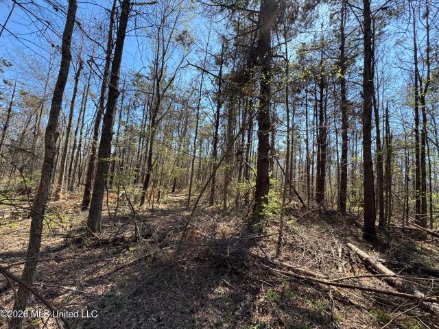 Land for sale in Lexington, Mississippi