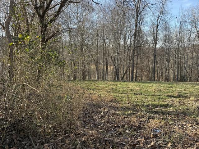 Land for sale in Tennessee