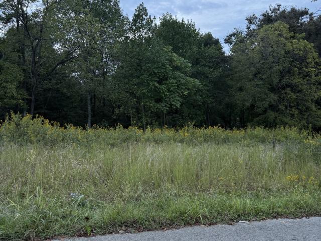 Land for sale in Tennessee