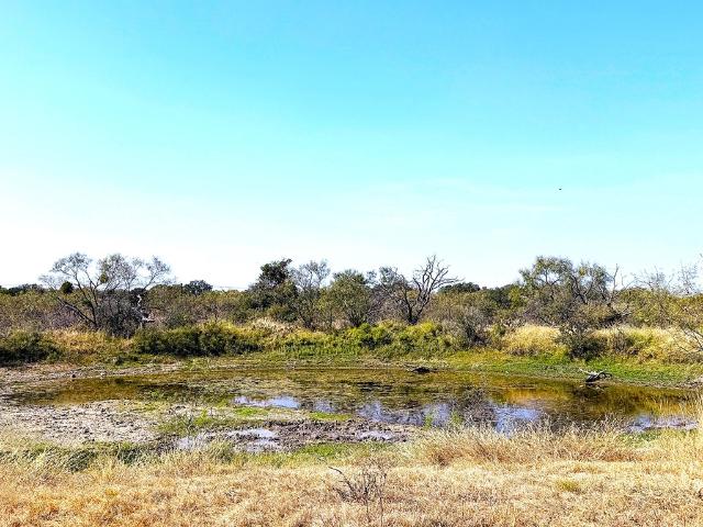 Land for sale in Llano, Texas