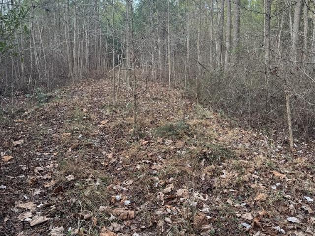 Land for sale in Virginia