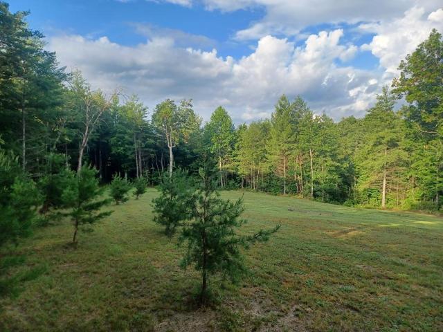 Land for sale in Tennessee