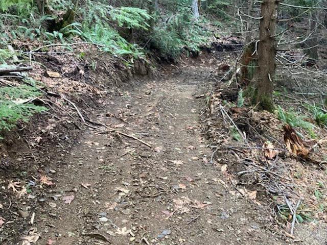 Land for sale in Hoodsport, Washington