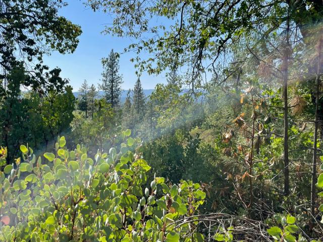Land for sale in Forbestown, California