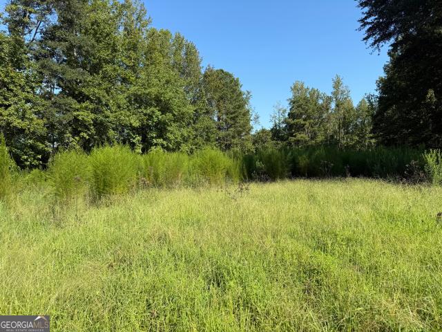 Land for sale in Temple, Georgia
