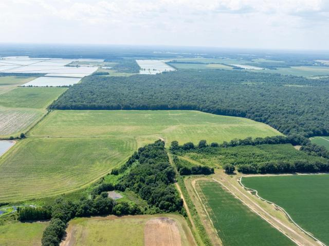 Land for sale in Ark