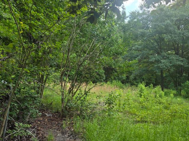 Land for sale in Summerville, South Carolina