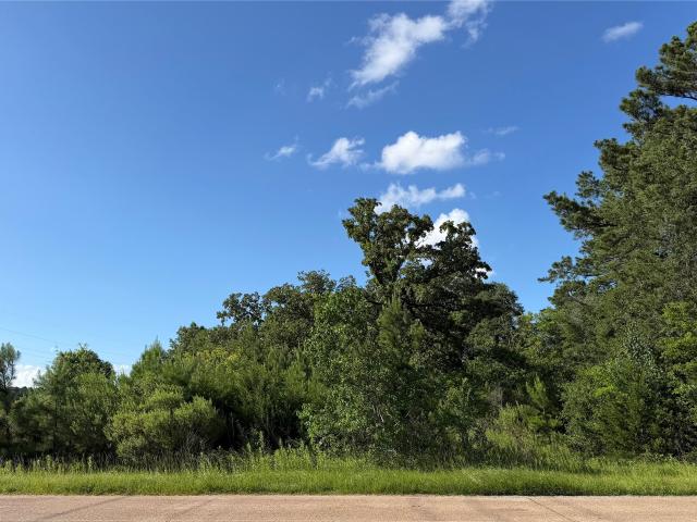 Land for sale in Diboll, Texas