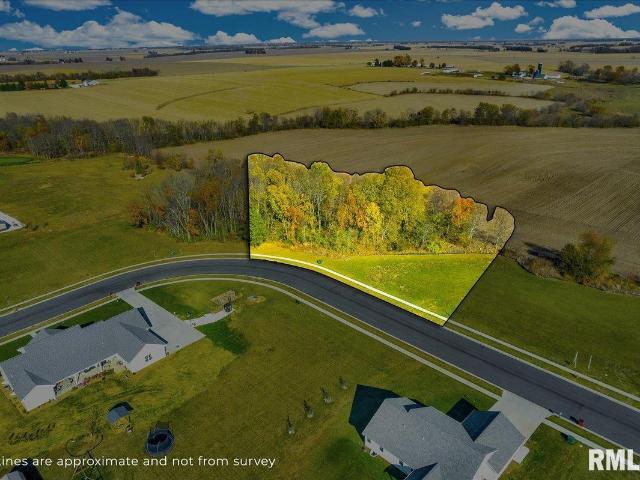 Land for sale in Elmwood, Illinois