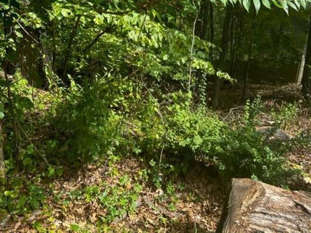 Property for sale in Cressona, Pennsylvania