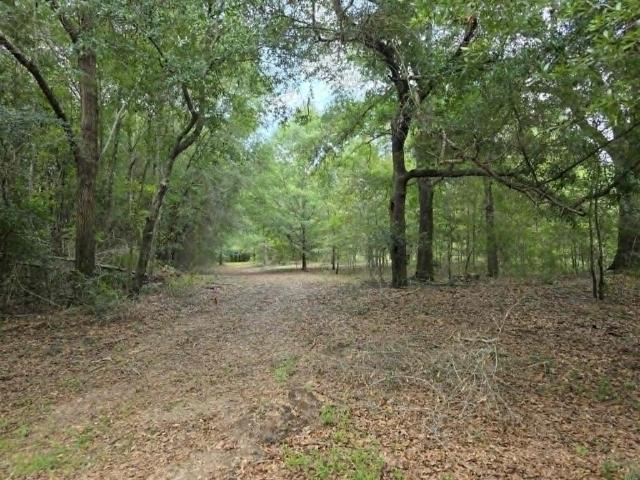 Land for sale in Newville, Alabama