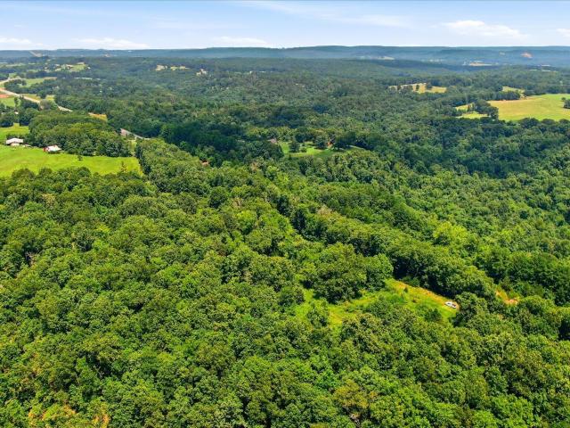 Land for sale in Ava, Missouri