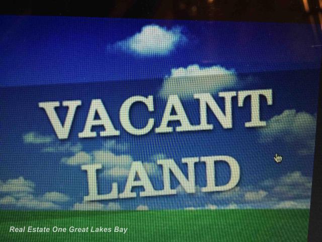 Land for sale in Linwood, Michigan