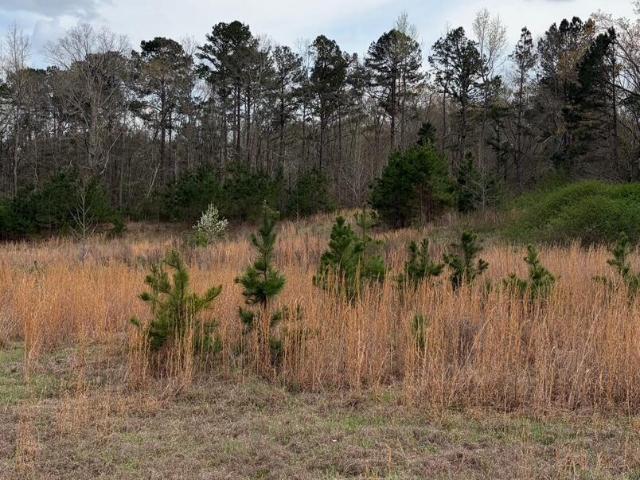 Land for sale in Pelahatchie, Mississippi