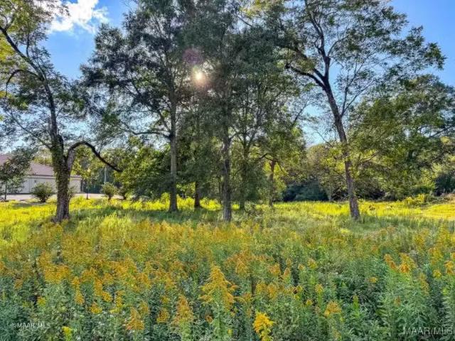 House for rent in Grove Hill, Alabama