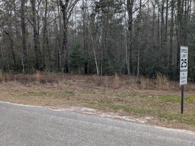 Land for sale in Walterboro, South Carolina