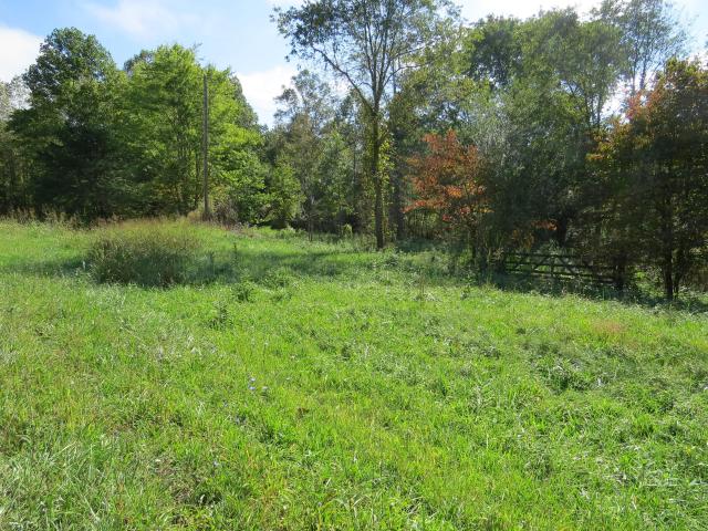 Land for sale in Gray, Kentucky