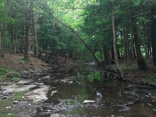 Land for sale in Champion, New York
