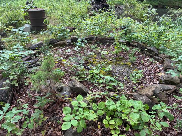 Land for sale in Berry, Kentucky