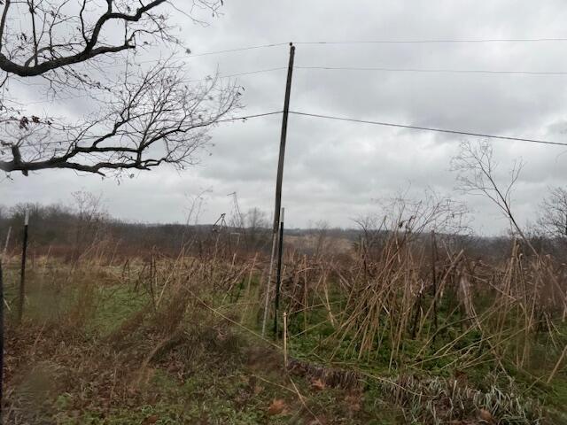 Land for sale in Berry, Kentucky