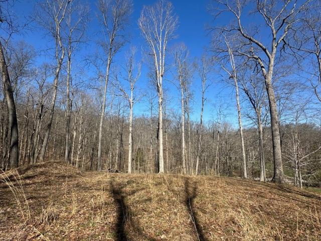 Land for sale in Morgantown, Indiana