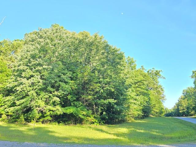 Land for sale in Tennessee