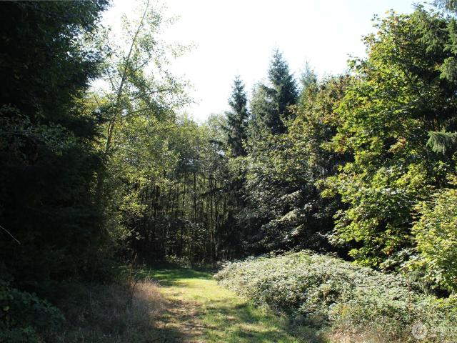 Land for sale in Kelso, Washington