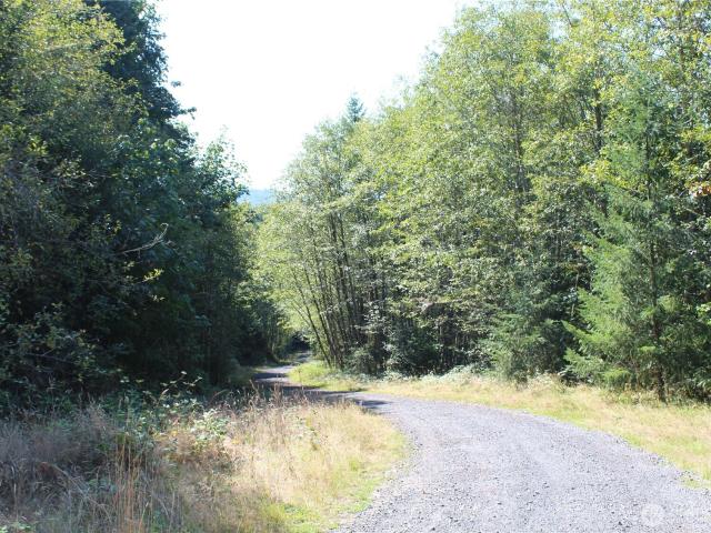 Land for sale in Kelso, Cowlitz County