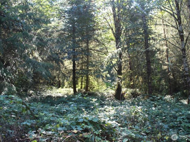 Land for sale in Kelso, Cowlitz County