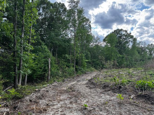 Land for sale in Como, North Carolina