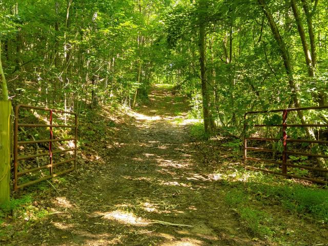 Land for sale in Murray, Georgia